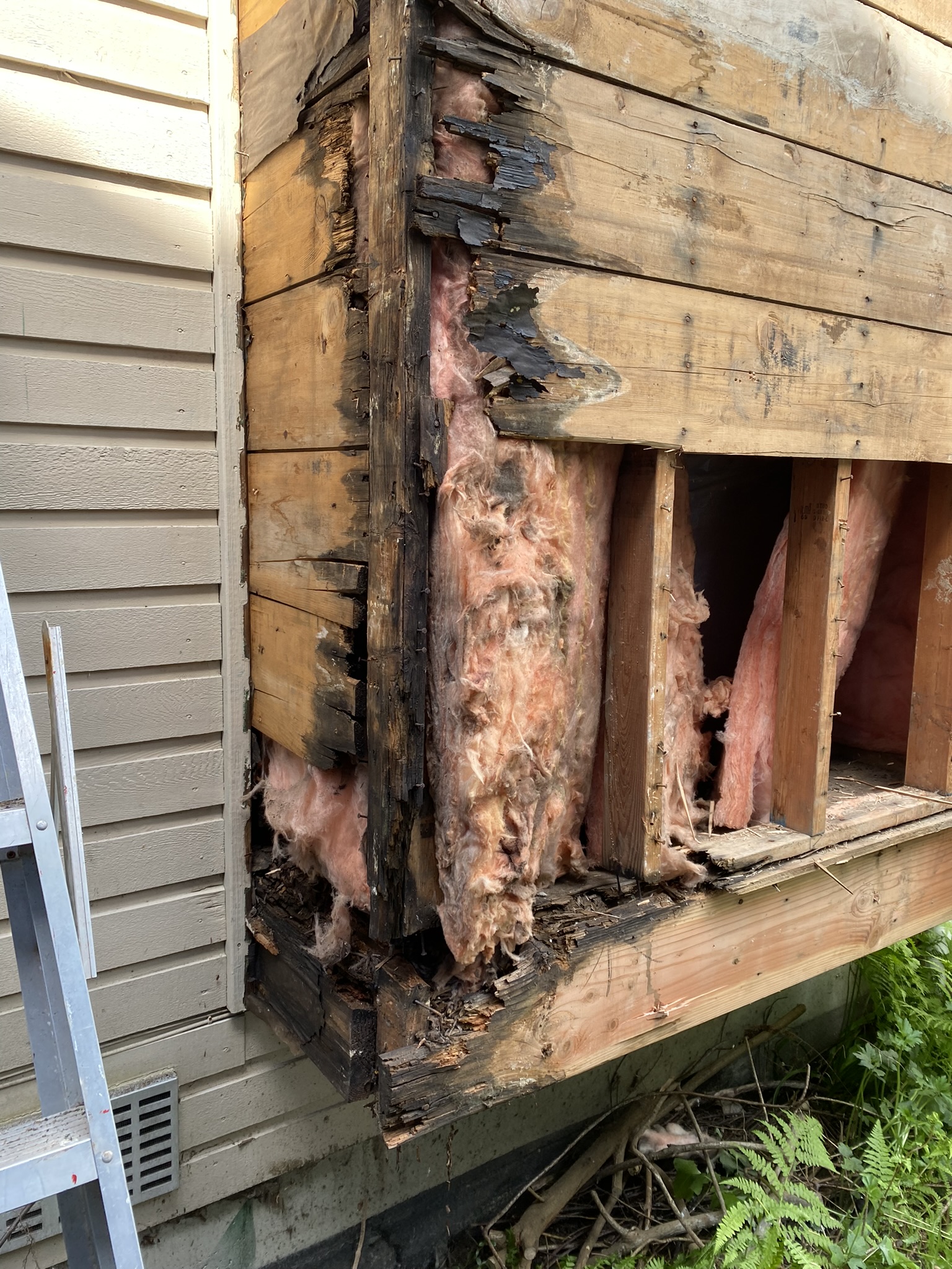 Addressing Chimney Rot and Evicting the Squirrel Tenants